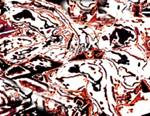 20_L14 2007